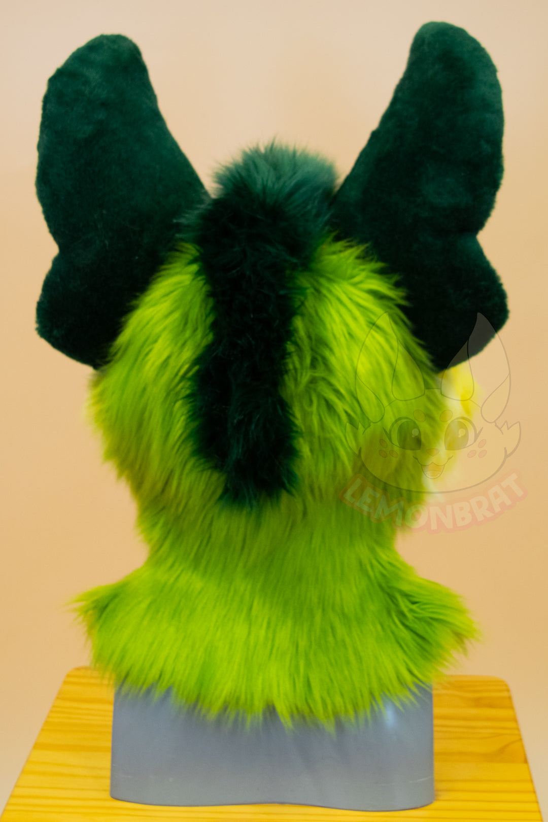 Swamp Doggo Partial Fursuit