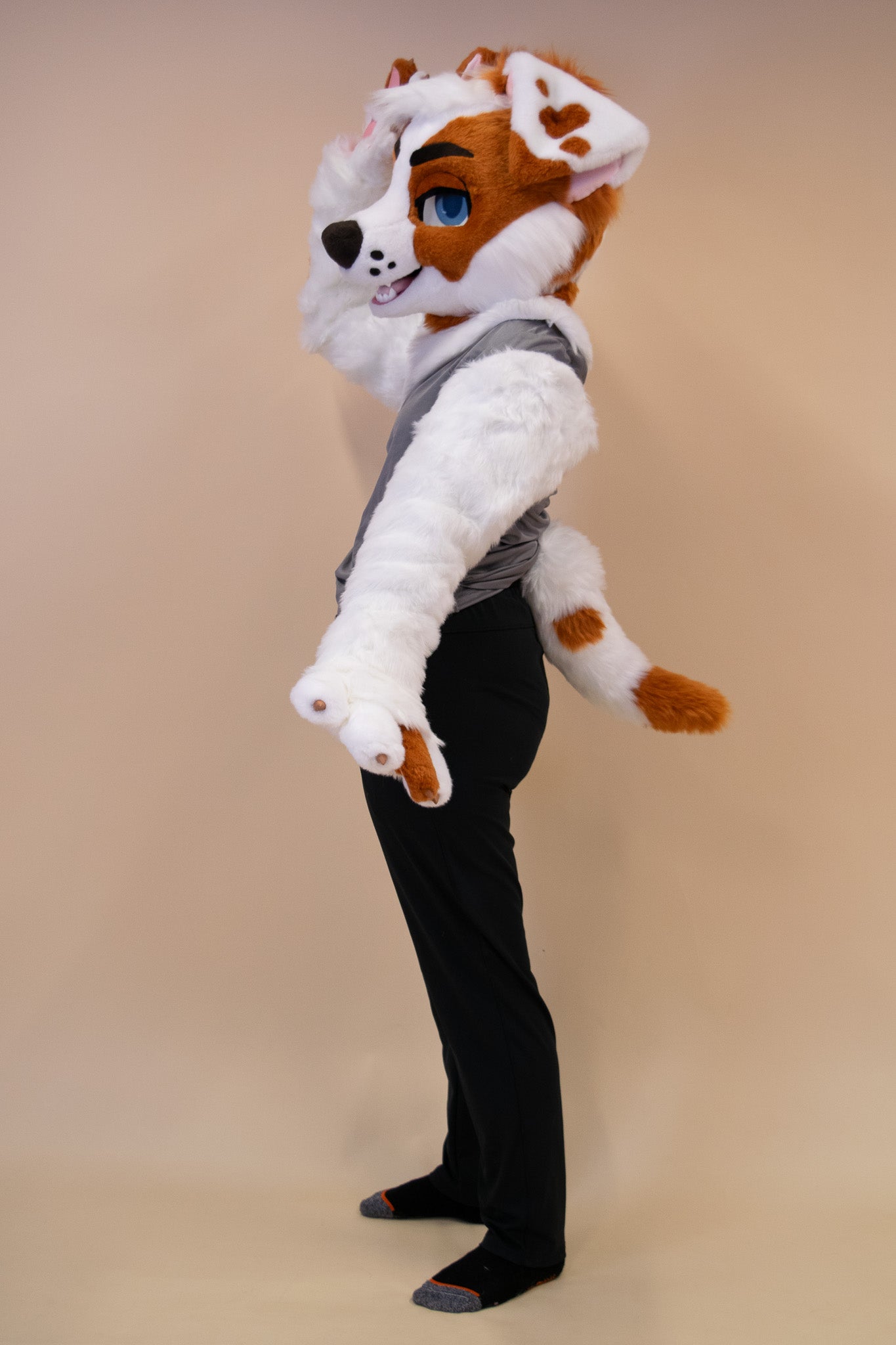 Trusty Jack Russel Partial Fursuit