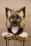 Little Brown Hyena Partial Fursuit