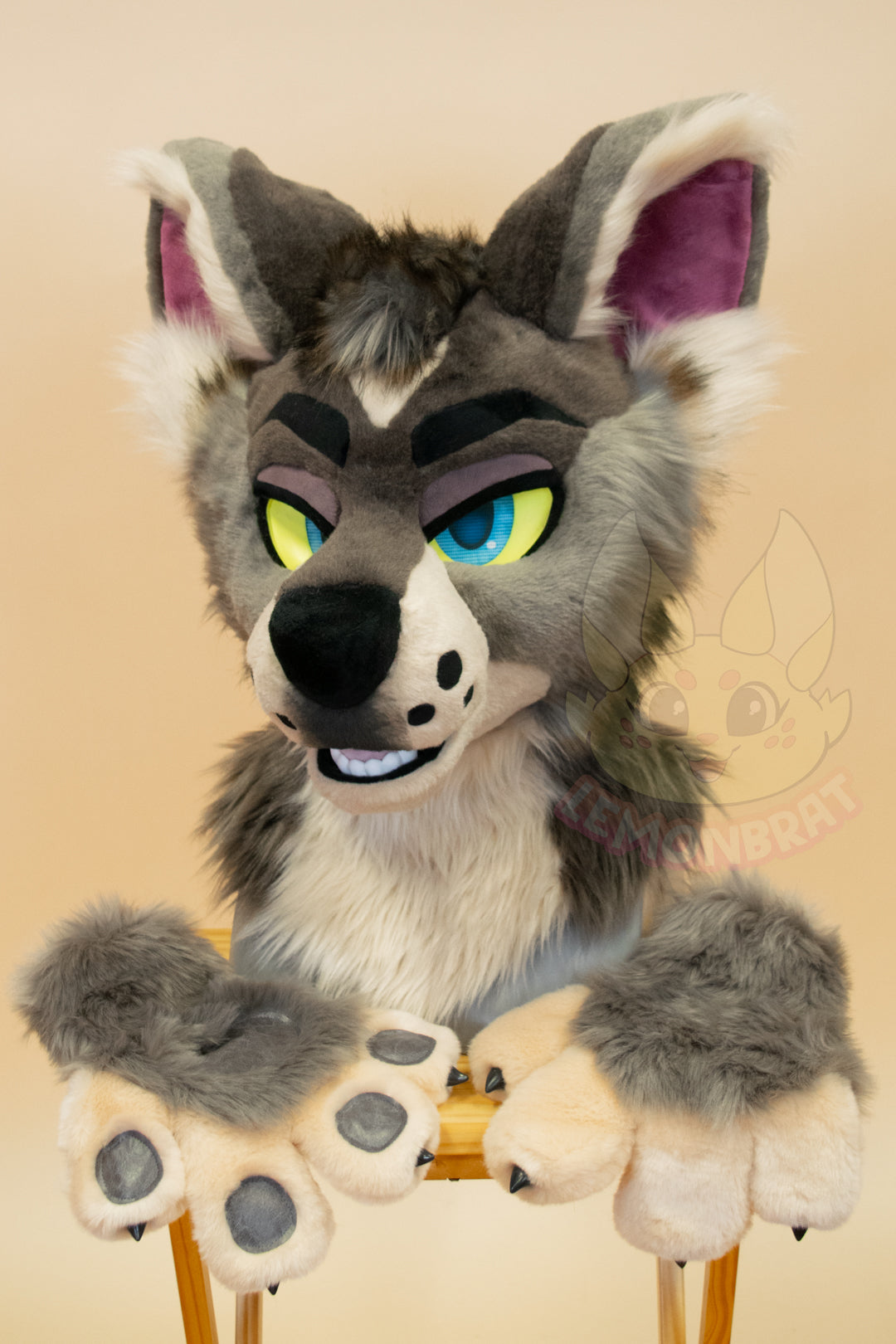 Montane Wolf Partial Fursuit