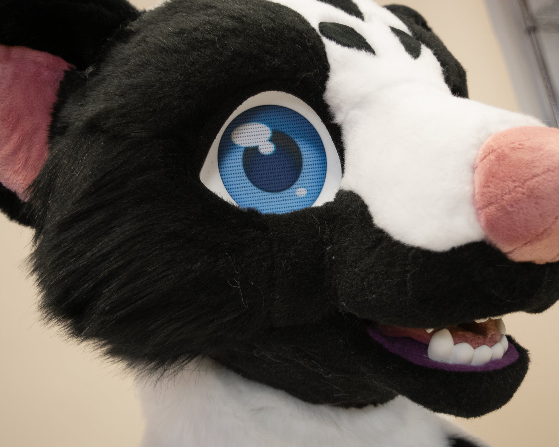Leucistic Skunk Partial Fursuit