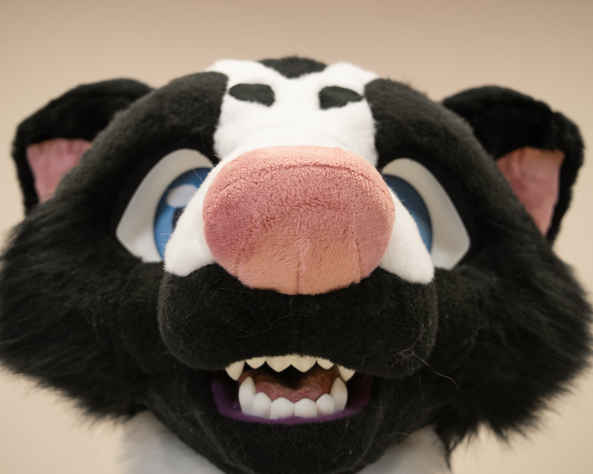 Leucistic Skunk Partial Fursuit