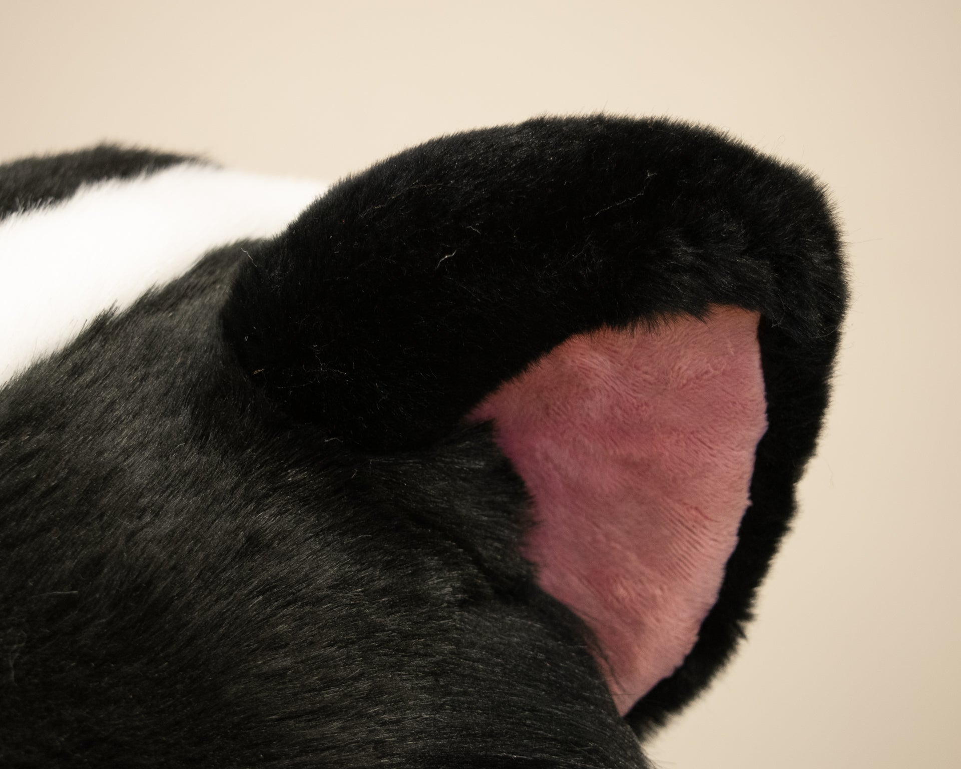 Leucistic Skunk Partial Fursuit