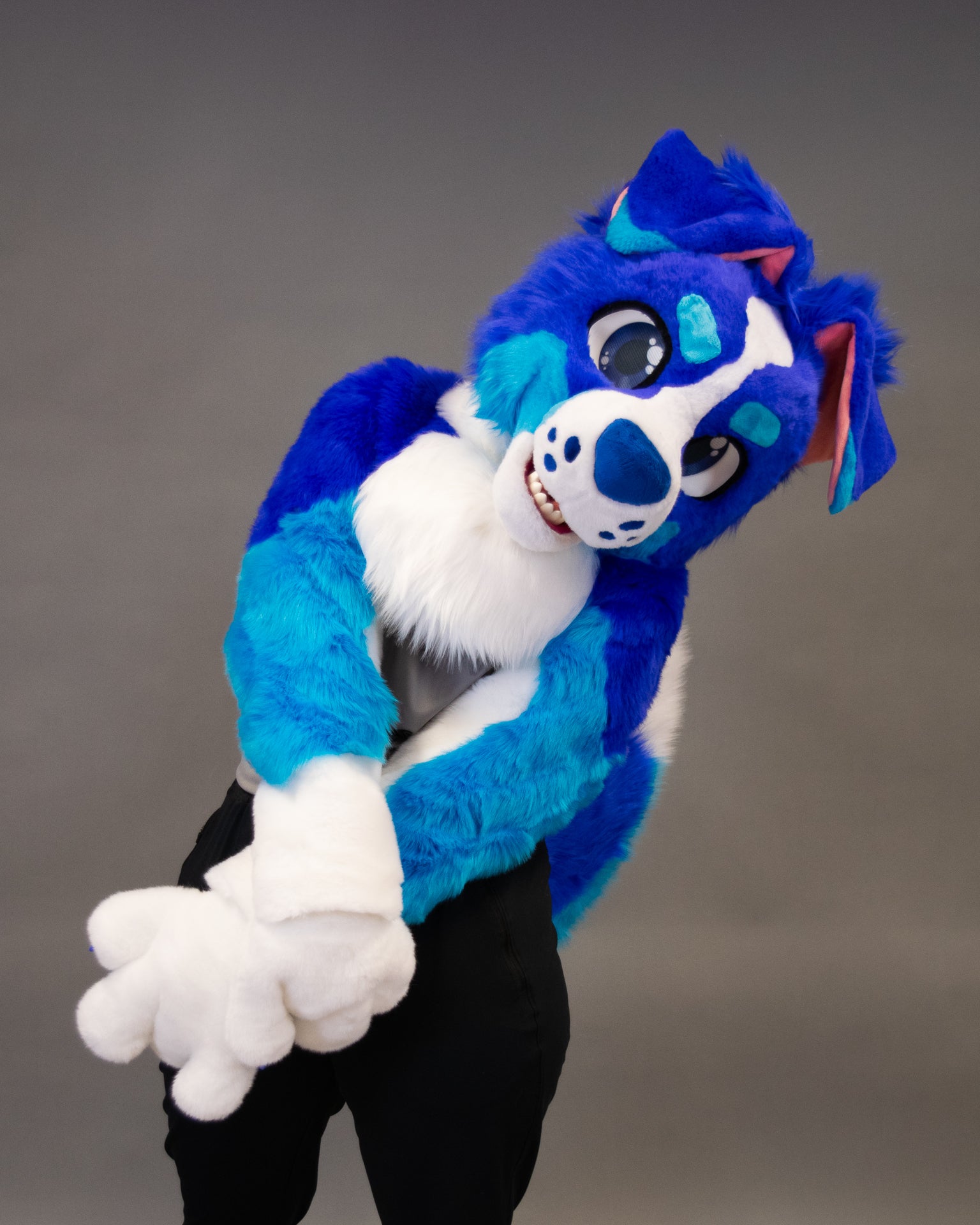 Blue Boofer Dog Partial Fursuit