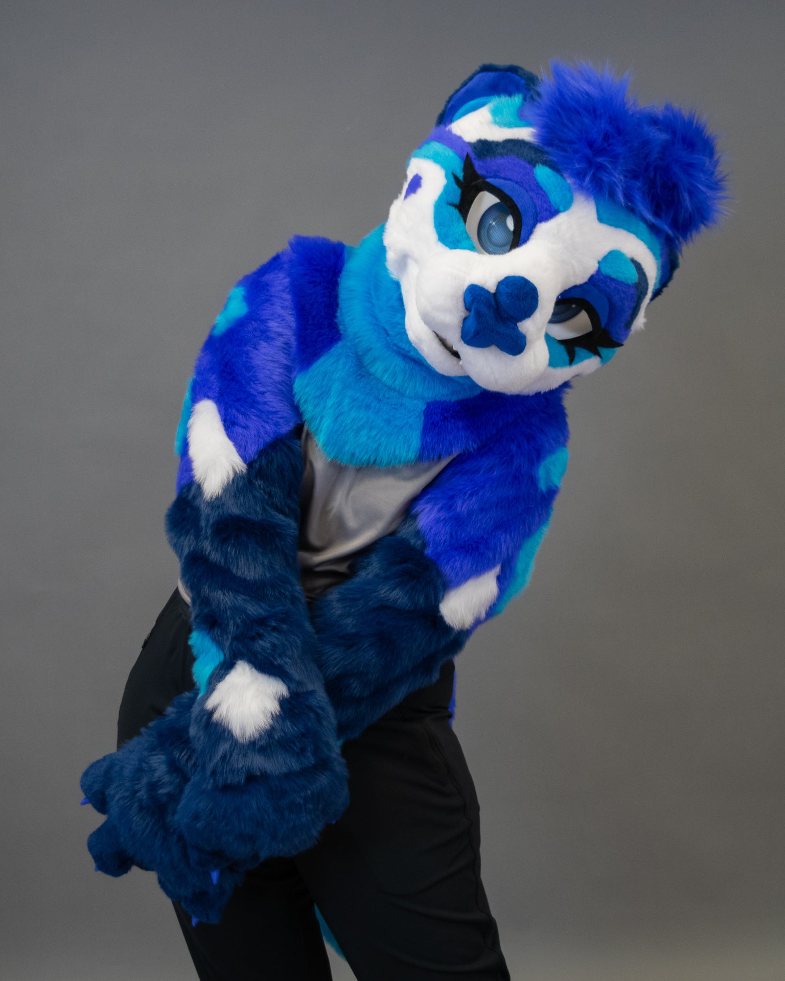 Sapphire Sea Otter Partial Fursuit