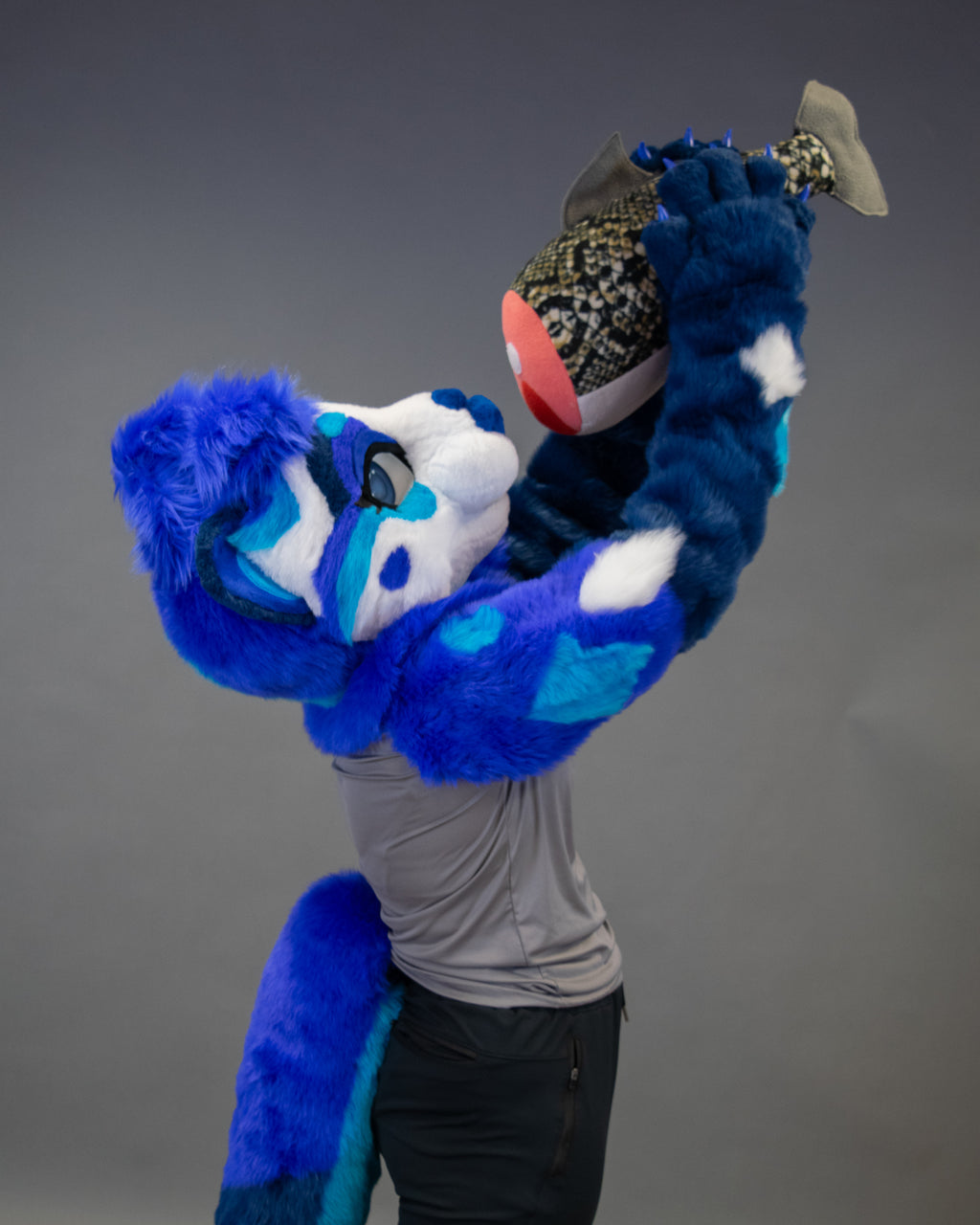 Sapphire Sea Otter Partial Fursuit