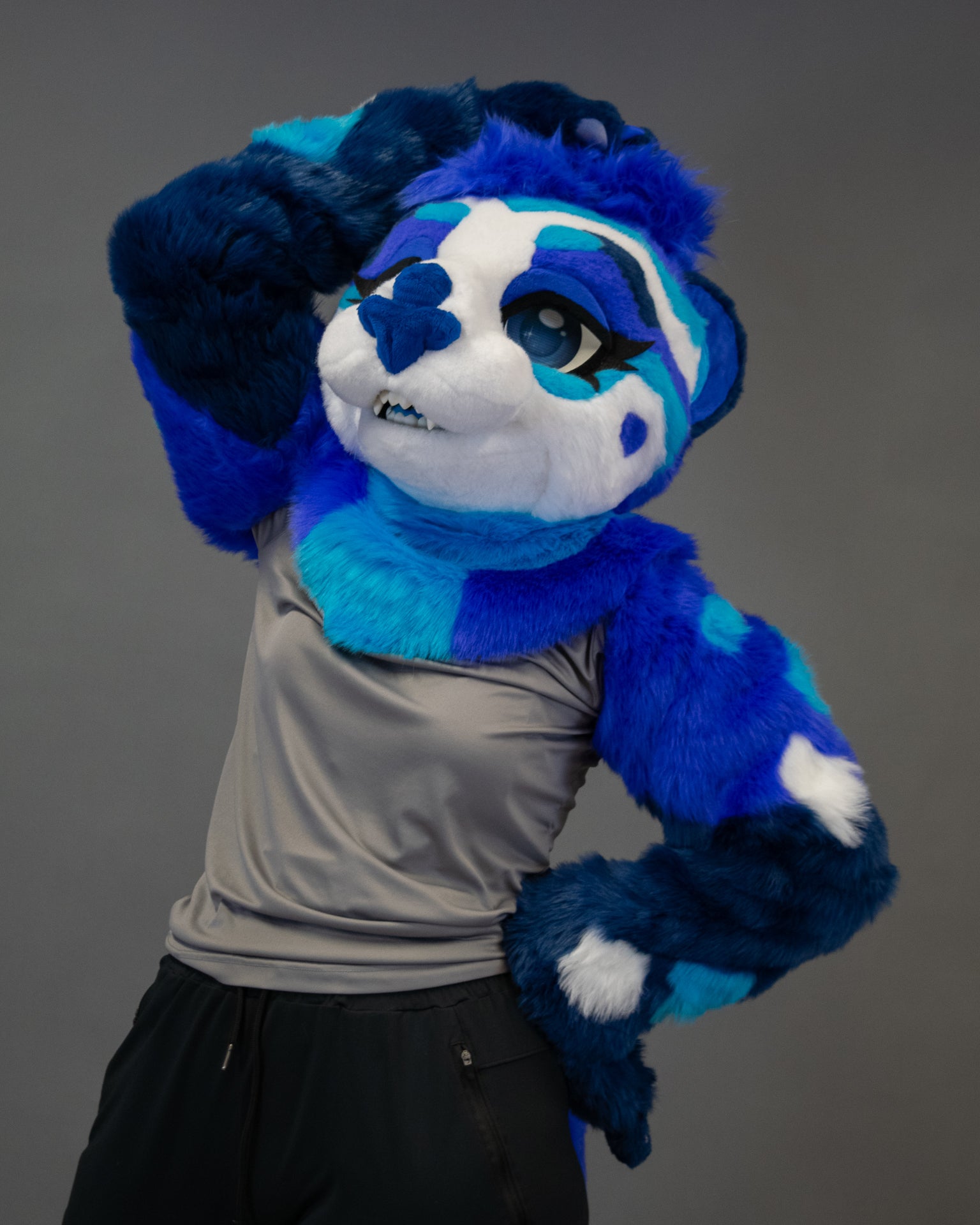 Sapphire Sea Otter Partial Fursuit