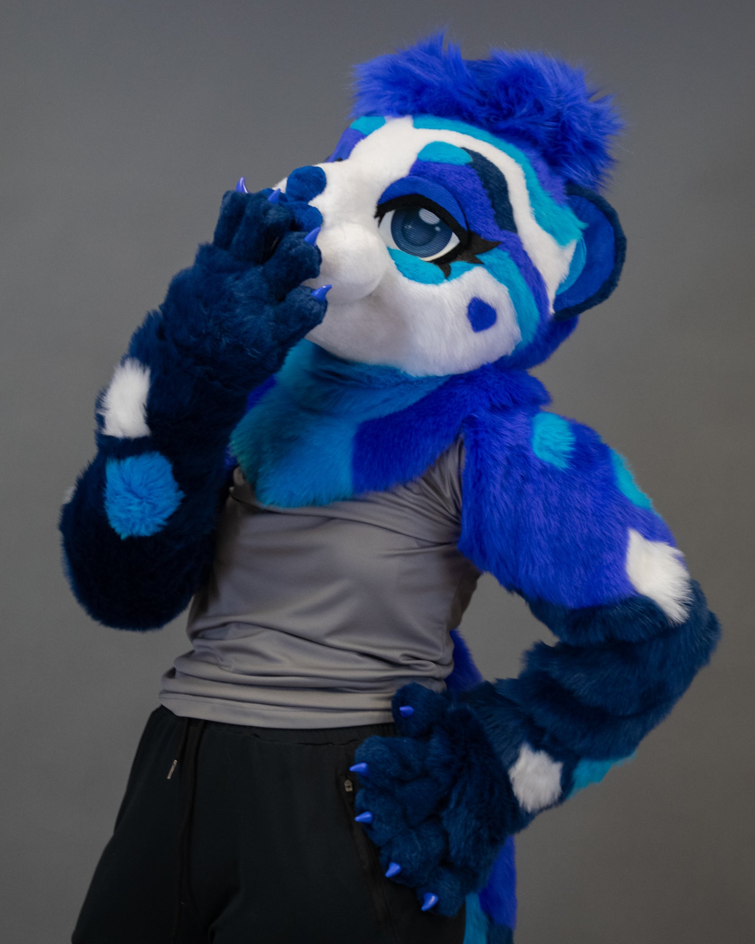 Sapphire Sea Otter Partial Fursuit
